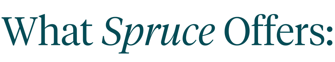 What Spruce Offers