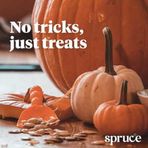 An image of pumpkins and pumpkin seeds on a table with the words No tricks, just treats and the Spruce logo in the bottom right corner.